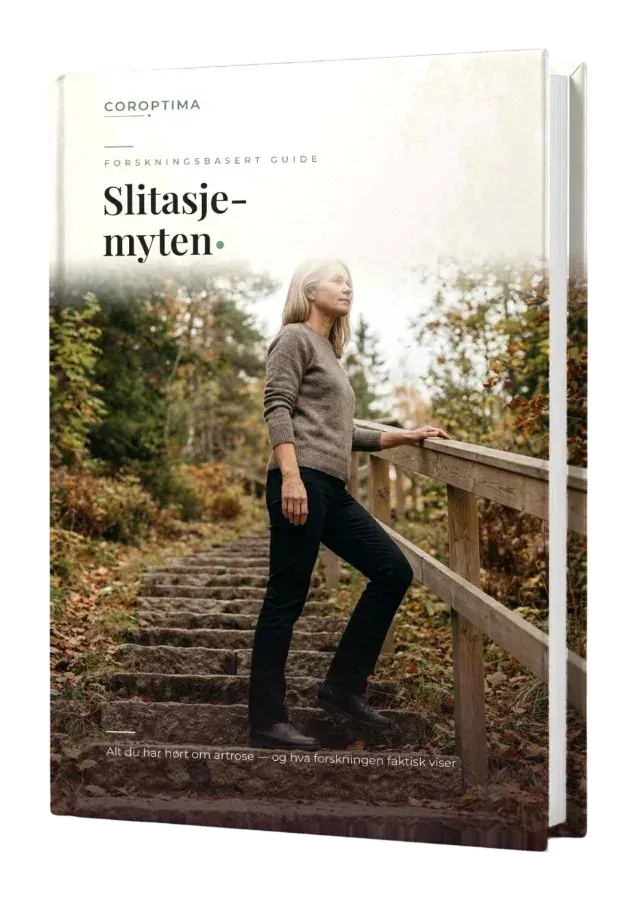 Omslaget til Slitasjemyten, inkludert som digital bok